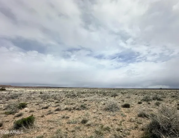 $13,947 | 205 County Road, Concho, AZ 85924