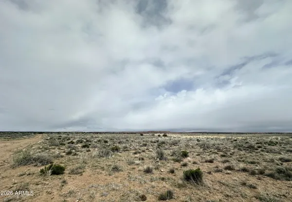 $13,947 | 205 County Road, Concho, AZ 85924