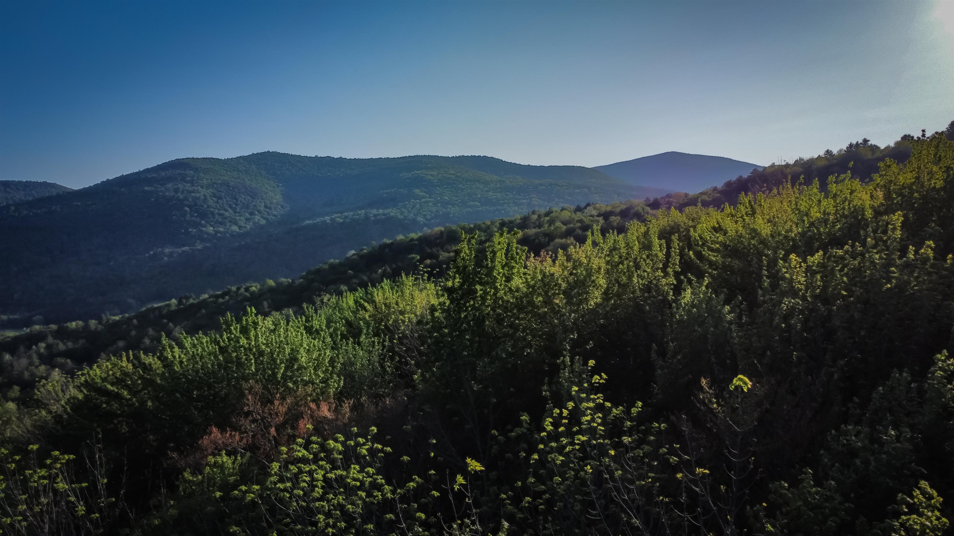 951 Quarry Hill Road Rochester, VT 05767 - Photo 1 of 22