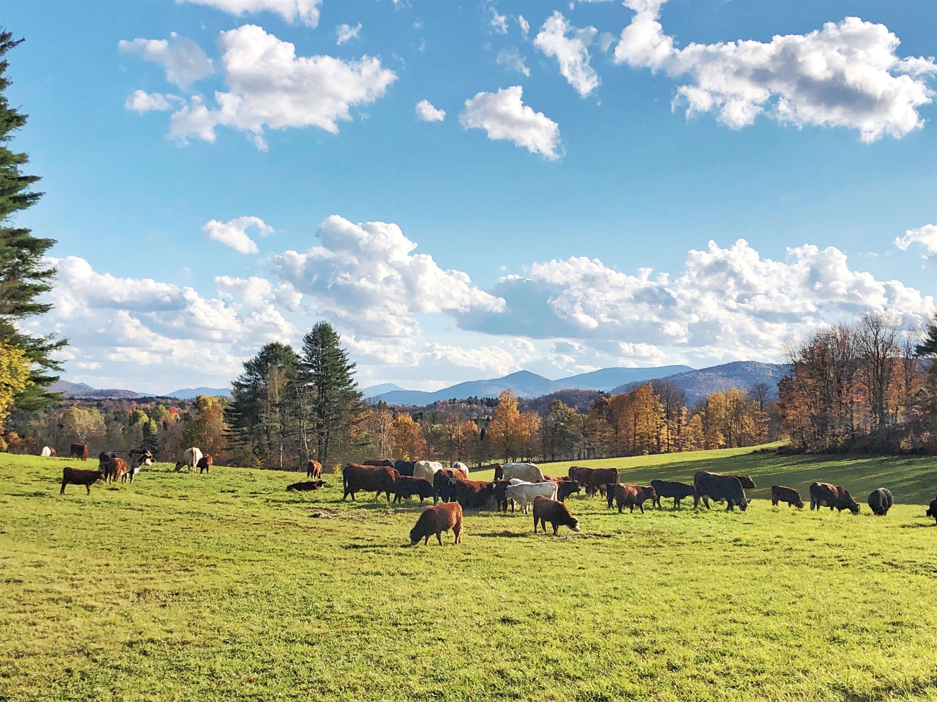 951 Quarry Hill Road Rochester, VT 05767 - Photo 20 of 22