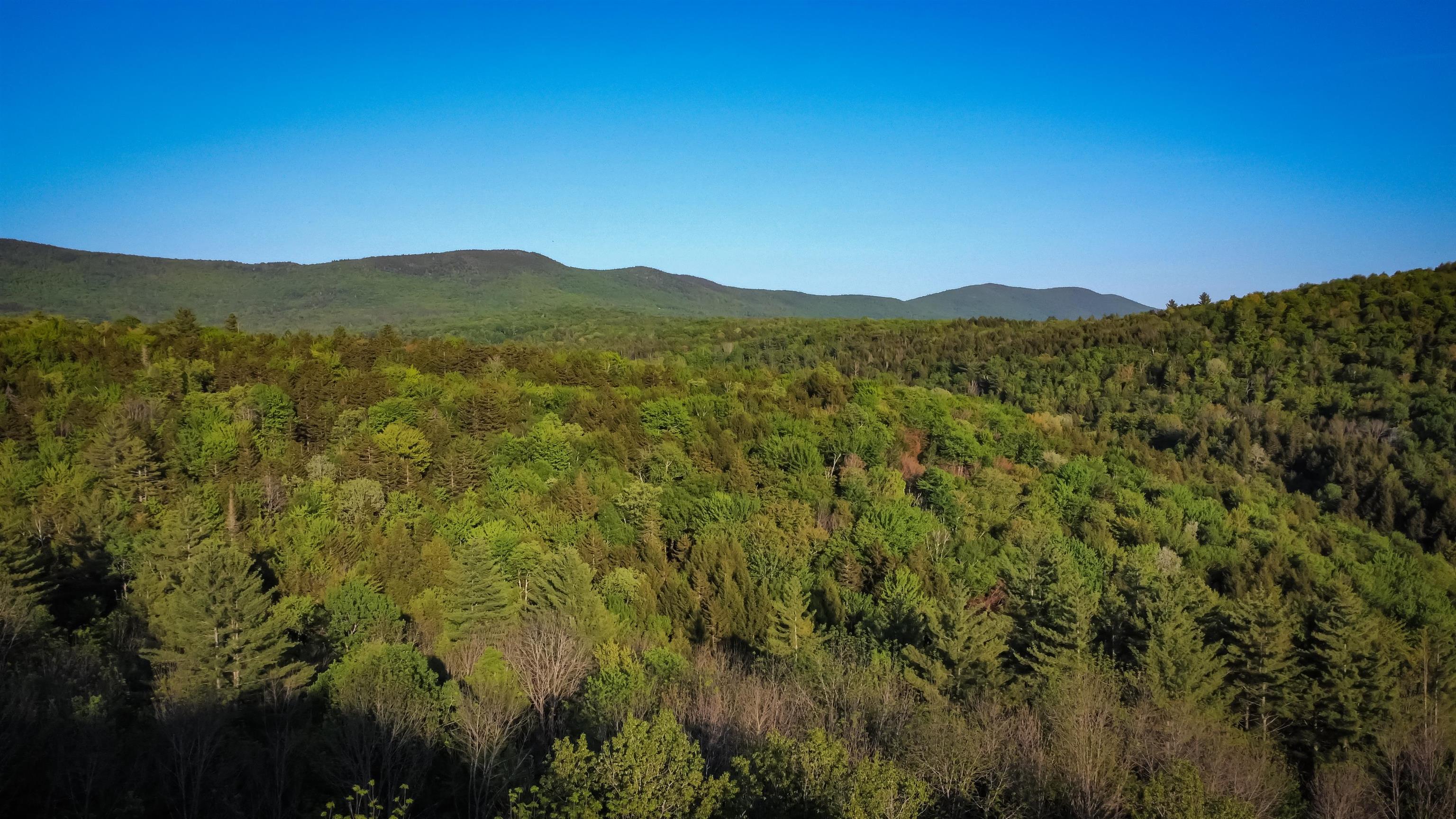 951 Quarry Hill Road Rochester, VT 05767 - Photo 4 of 22