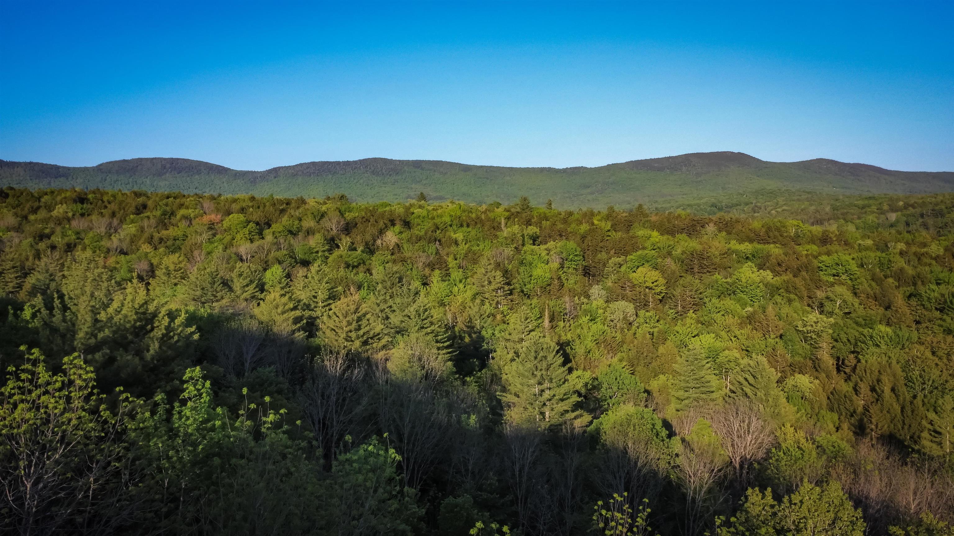 951 Quarry Hill Road Rochester, VT 05767 - Photo 5 of 22