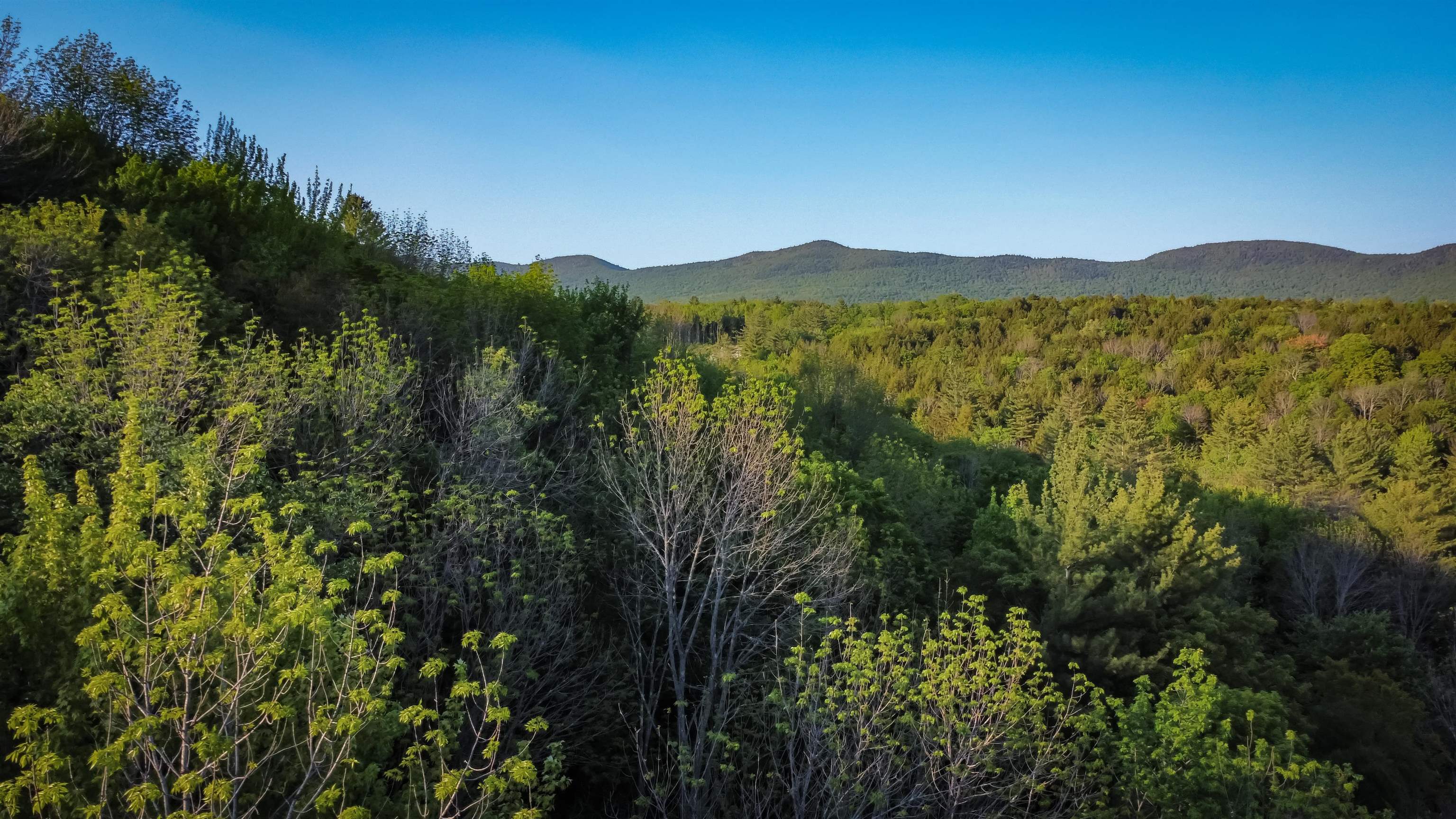 951 Quarry Hill Road Rochester, VT 05767 - Photo 6 of 22