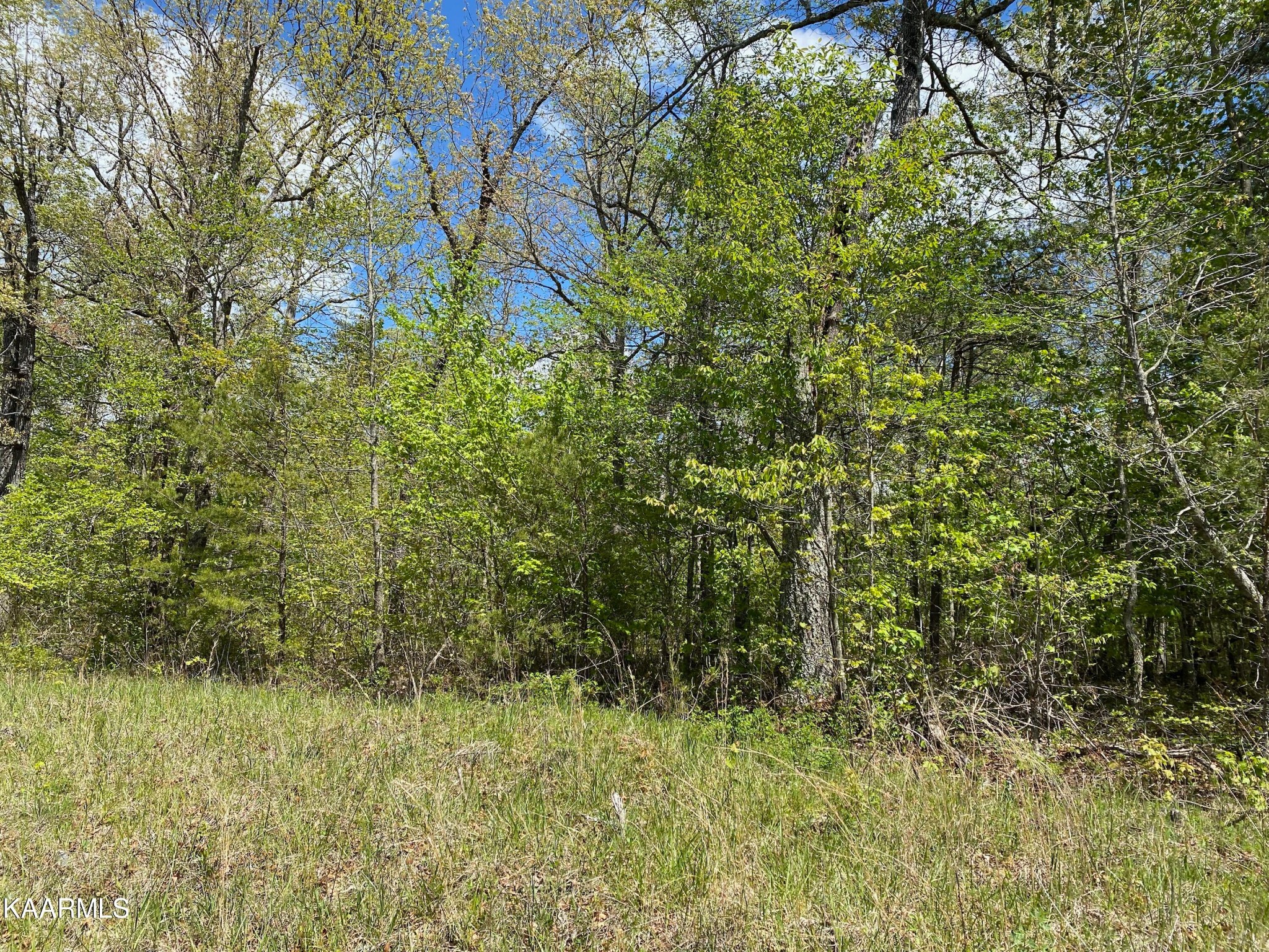 620 Jim Garrett Road Monterey, TN 38574 - Photo 4 of 14 Gallery Image 4