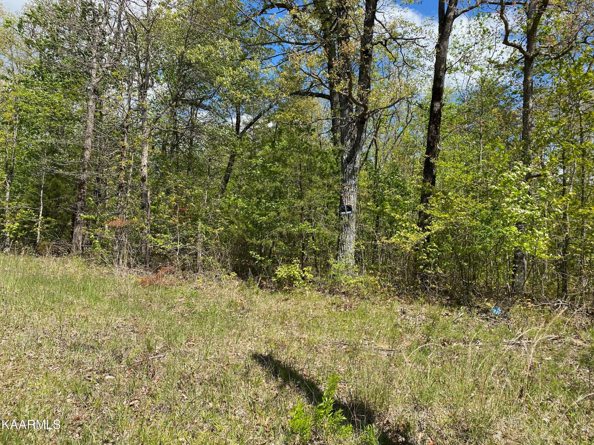 620 Jim Garrett Road Monterey, TN 38574 - Photo 6 of 14 Gallery Image 6
