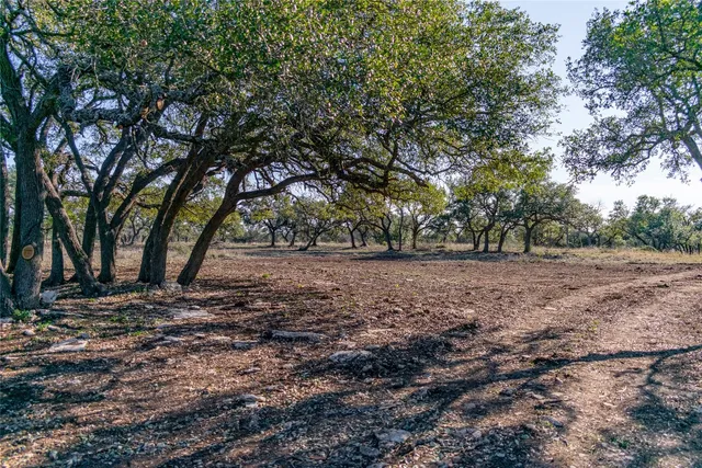 a view of outdoor space with trees