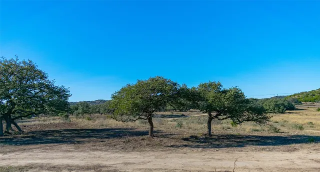 a view of a yard with trees