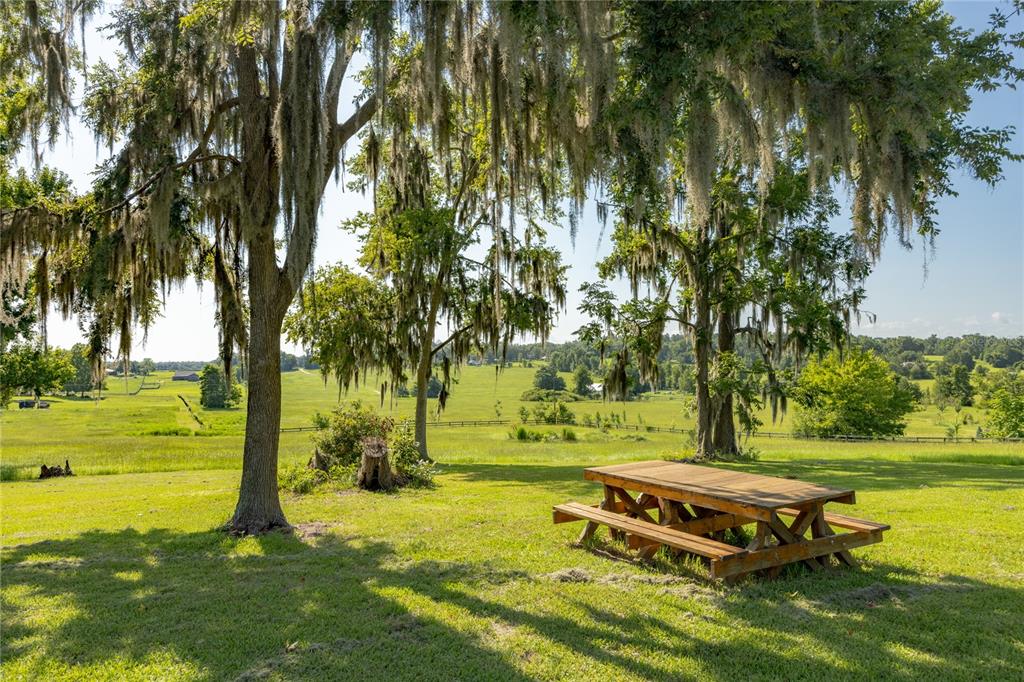 21601 Old Bellamy Road Alachua, FL 32615 - Photo 6 of 67