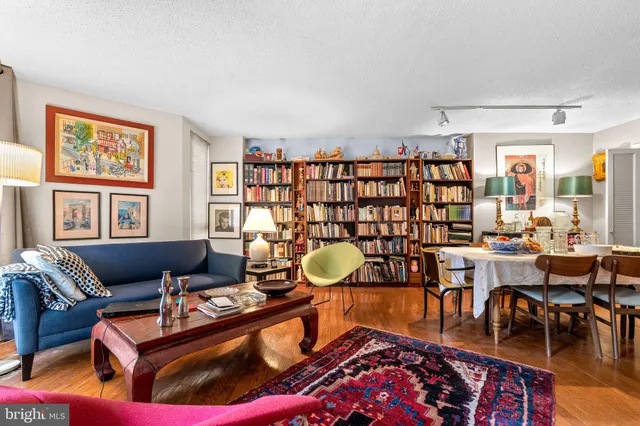 a living room with furniture a rug and a bookshelf