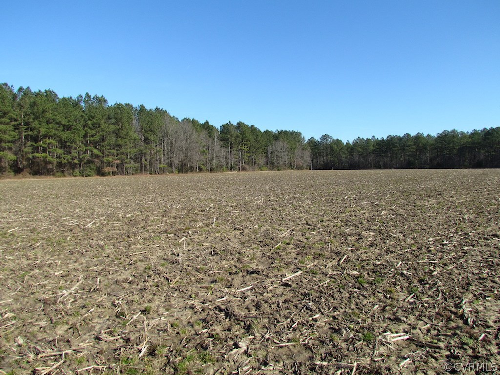 42.6 Kellos Bridge Road Wakefield, VA 23888 - Photo 14 of 38
