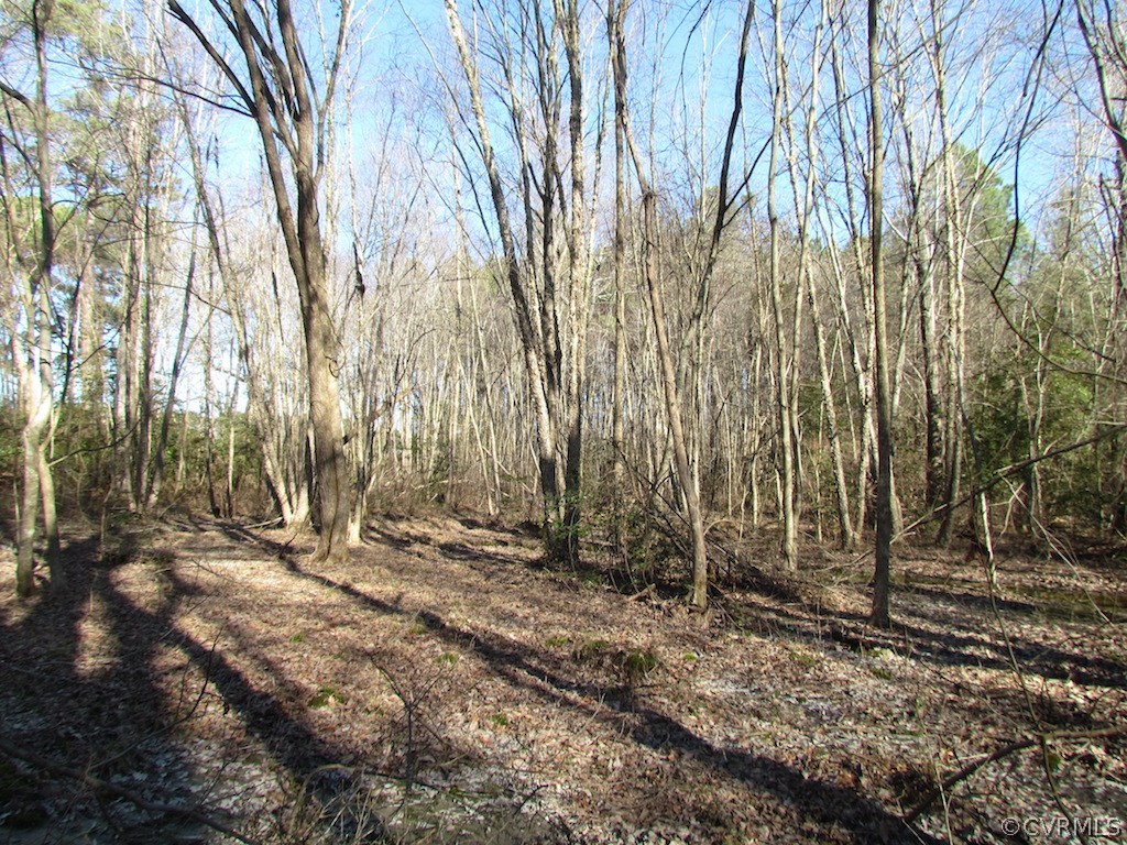 42.6 Kellos Bridge Road Wakefield, VA 23888 - Photo 21 of 38