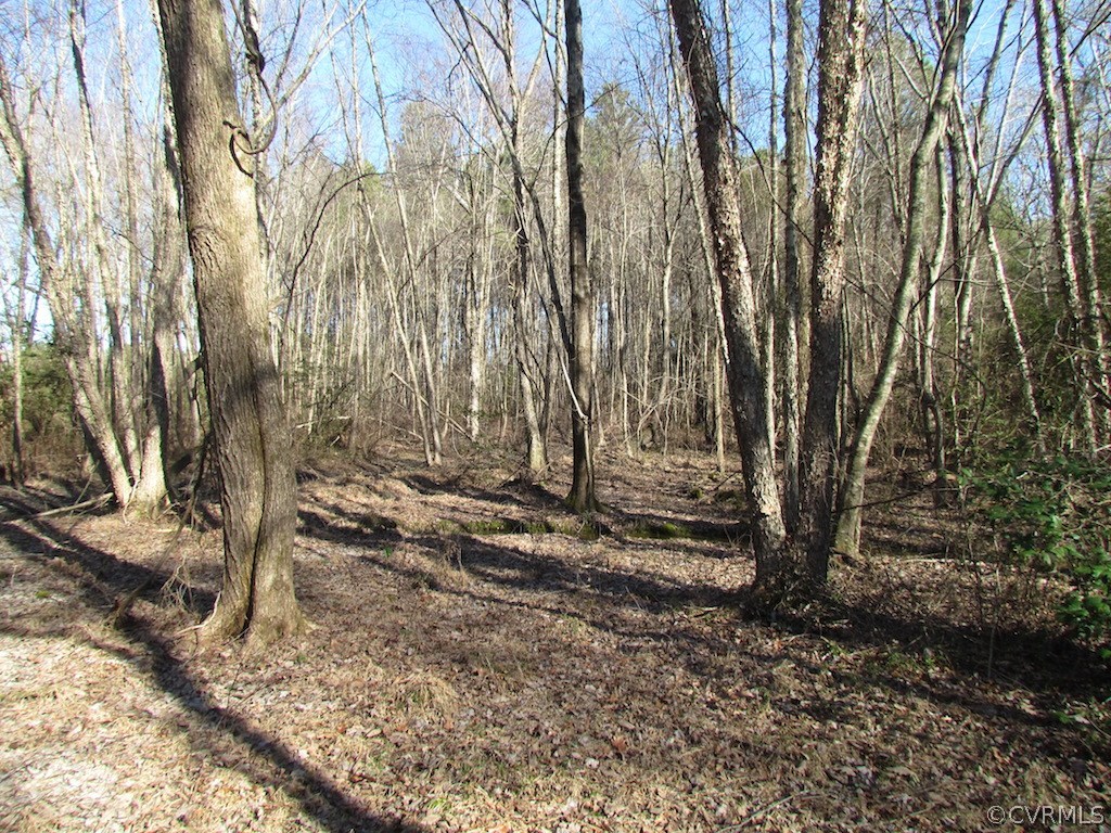 42.6 Kellos Bridge Road Wakefield, VA 23888 - Photo 23 of 38