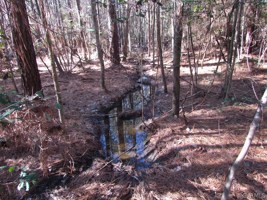 42.6 Kellos Bridge Road Wakefield, VA 23888 - Photo 27 of 38