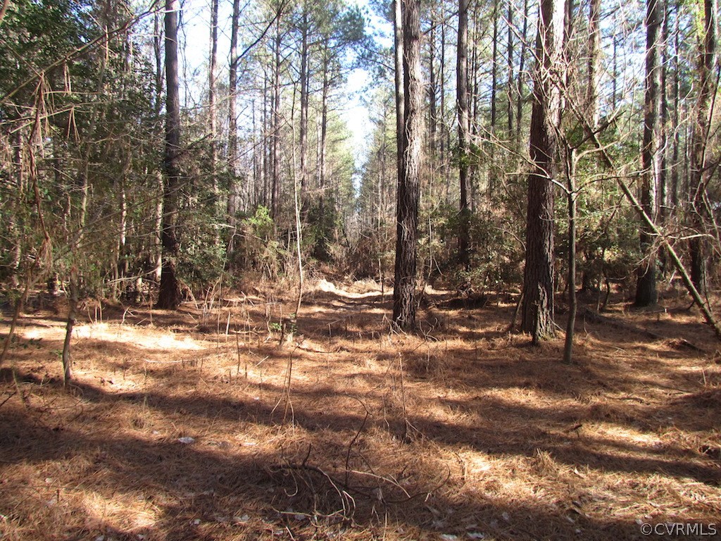 42.6 Kellos Bridge Road Wakefield, VA 23888 - Photo 28 of 38