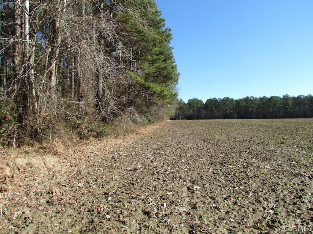 42.6 Kellos Bridge Road Wakefield, VA 23888 - Photo 33 of 38