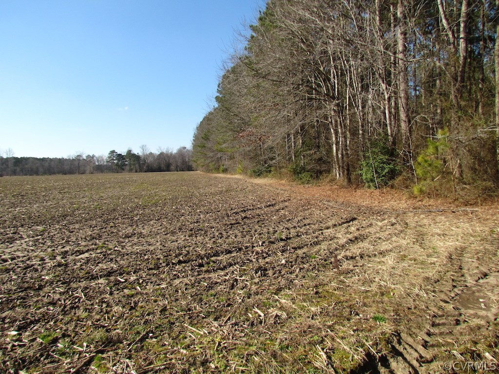 42.6 Kellos Bridge Road Wakefield, VA 23888 - Photo 36 of 38