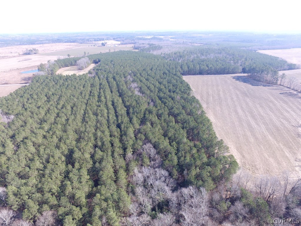 42.6 Kellos Bridge Road Wakefield, VA 23888 - Photo 8 of 38