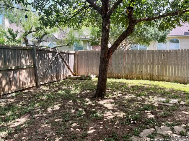 a view of backyard with tree