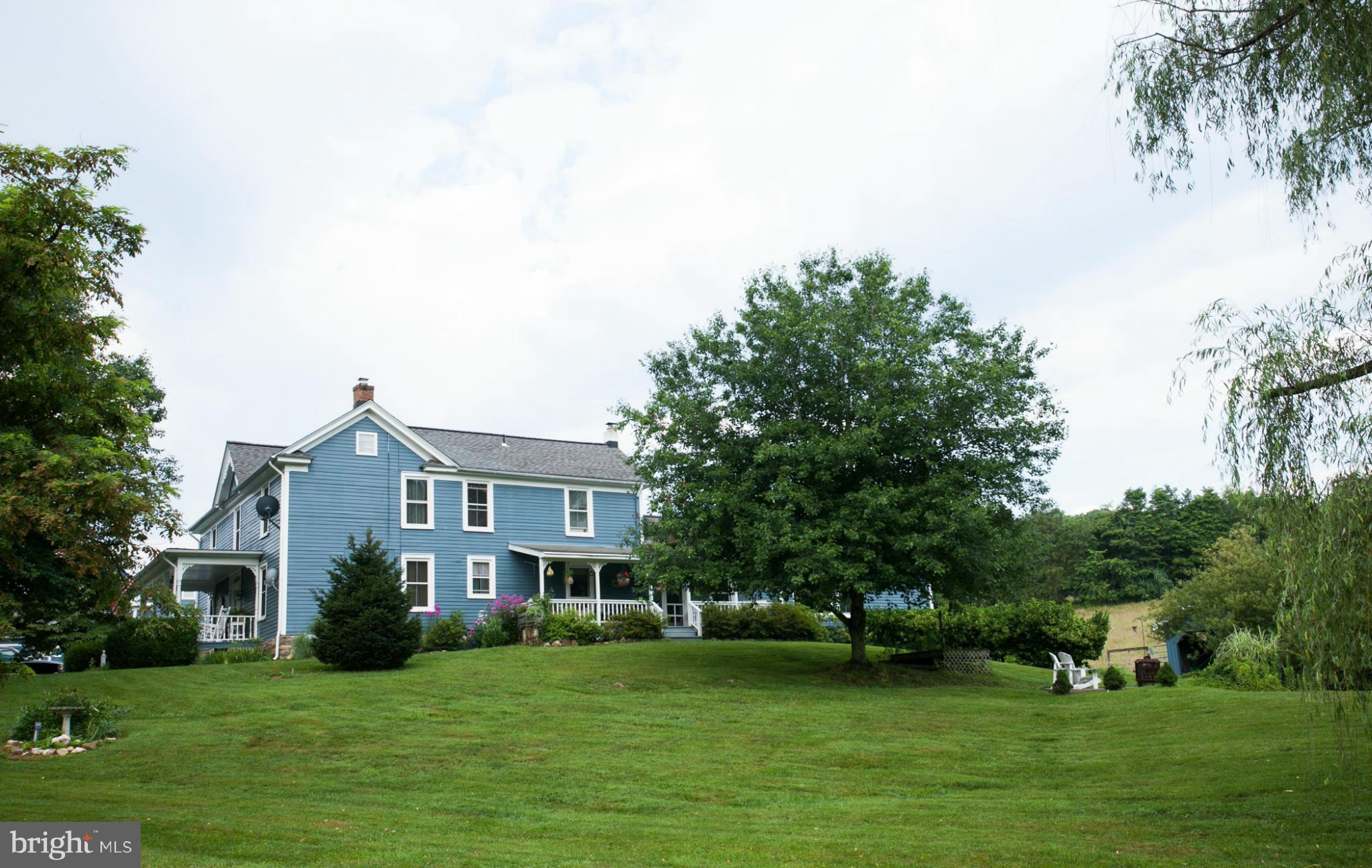 110 Gore Road Castleton, VA 22716 - Photo 6 of 28 a view of a house with a big yard and large trees