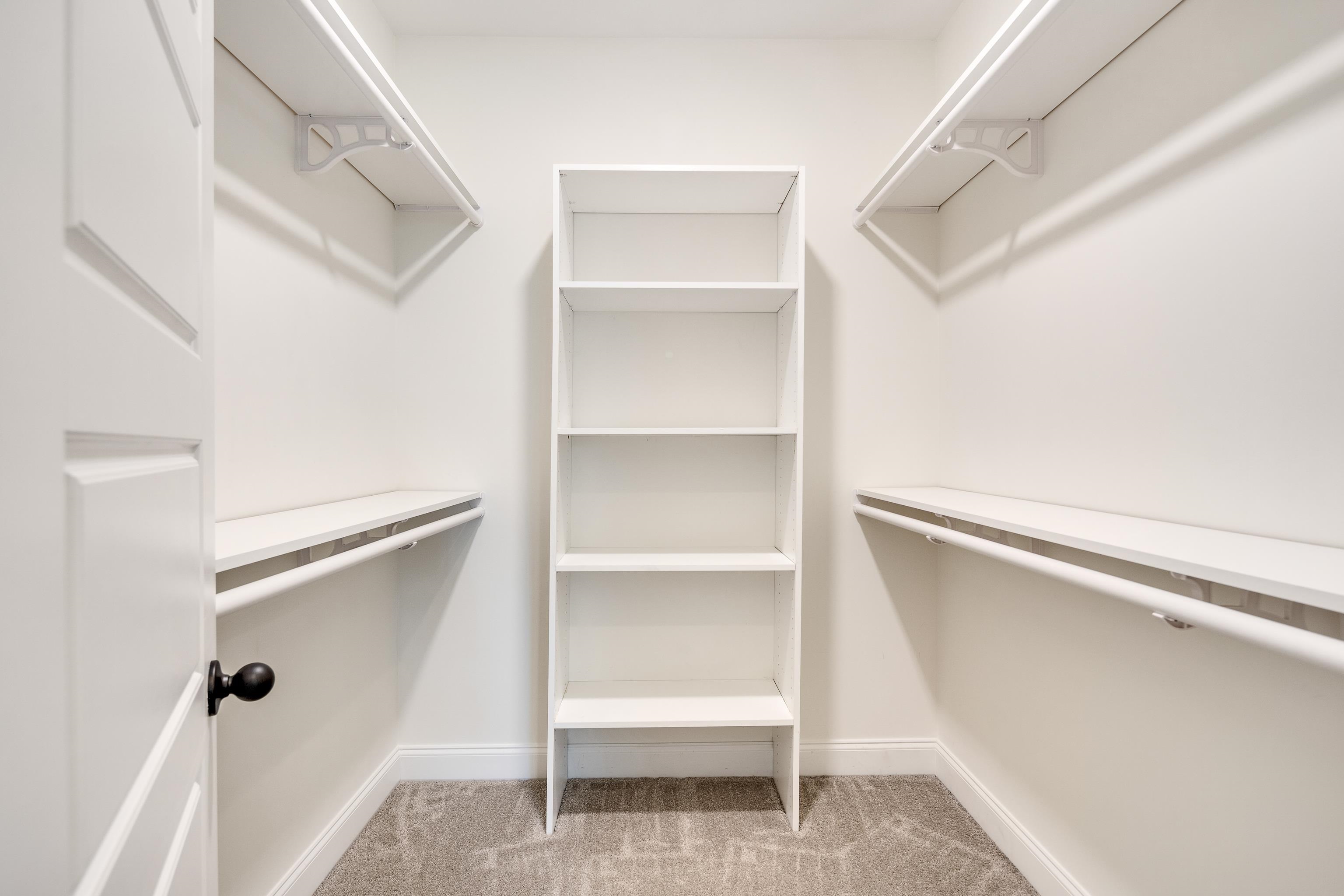 4728 Carousel Lane Collierville, TN 38017 - Photo 20 of 40 Walk in closet featuring light carpet