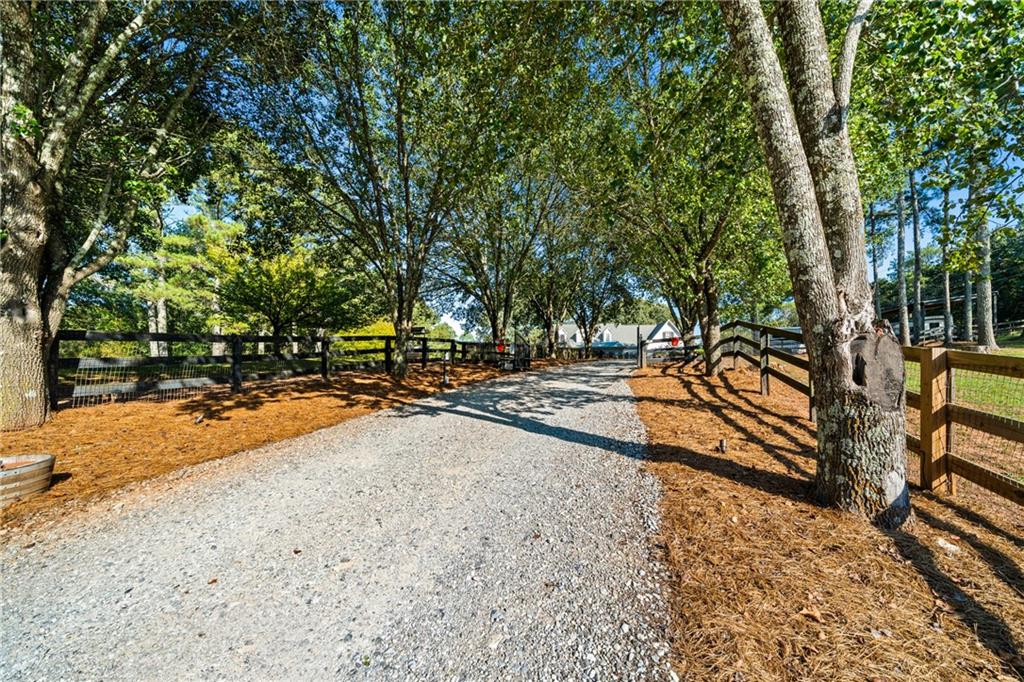 3204 Reavis Mountain Road Ball Ground, GA 30107 - Photo 50 of 84 Gallery Image 50