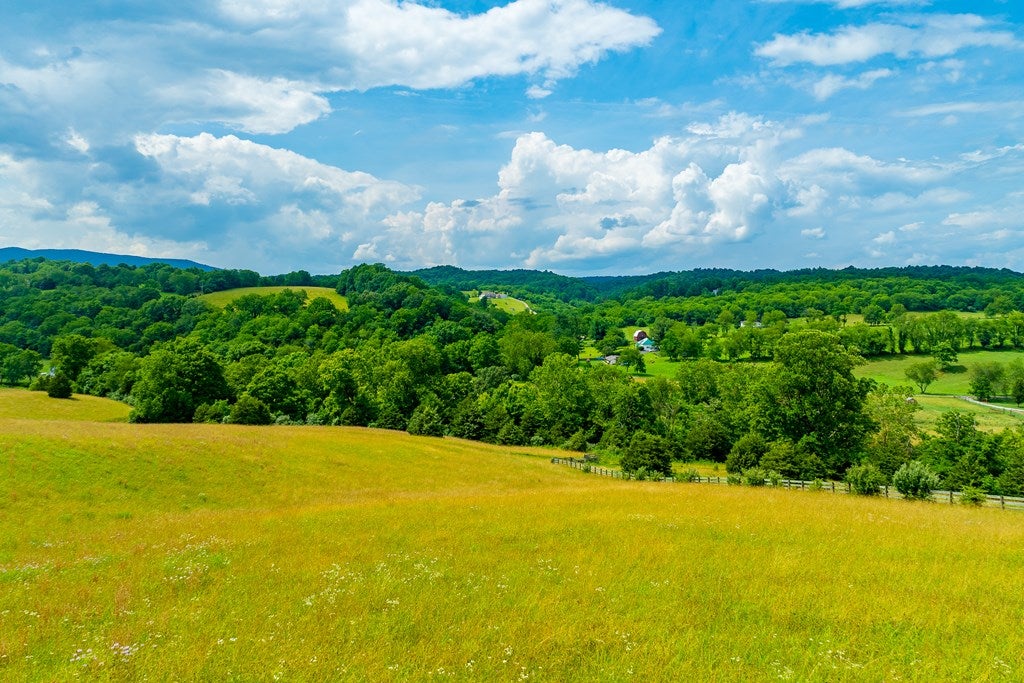 127 Trout Farm Road Rural Retreat, VA 24368 - Photo 70 of 88 Gallery Image 70