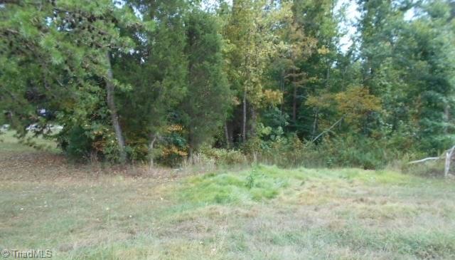 0 Guthrie Road Blanch, NC 27212 - Photo 1 of 1 Gallery Image 1