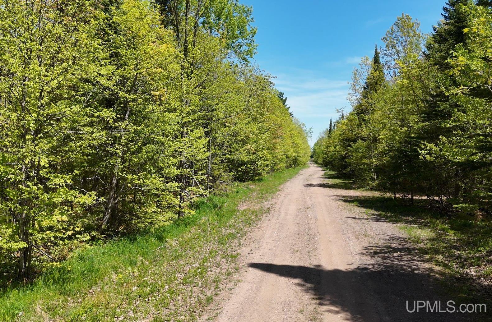 Tbdh Off Winona Road Toivola, MI 49965 - Photo 4 of 14 Gallery Image 4