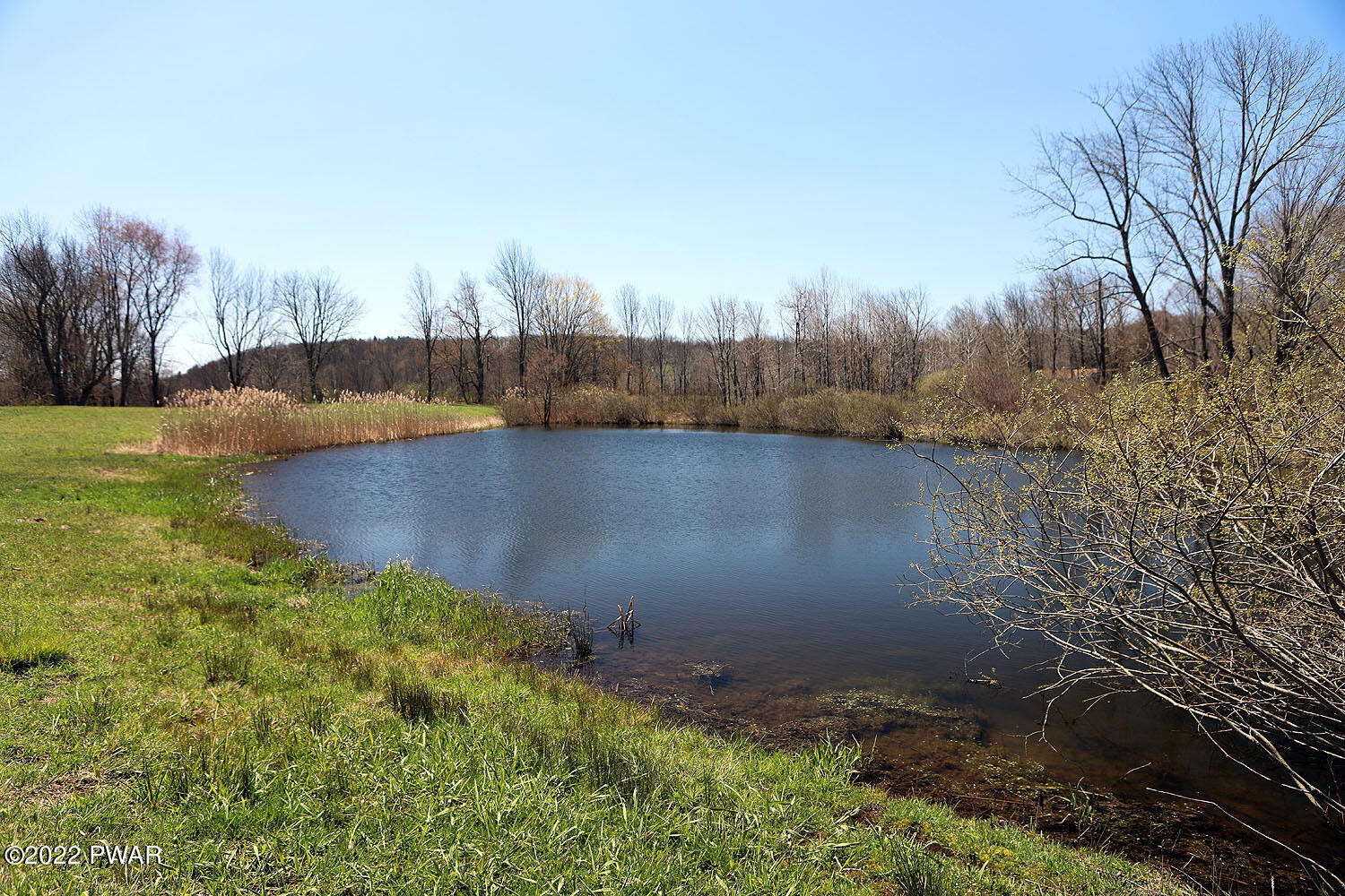 222 Valley Ridge Road Honesdale, PA 18431 - Photo 13 of 23 Pond