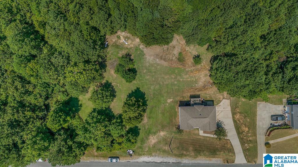 177 Hidden Ridge Drive Odenville, AL 35120 - Photo 38 of 38