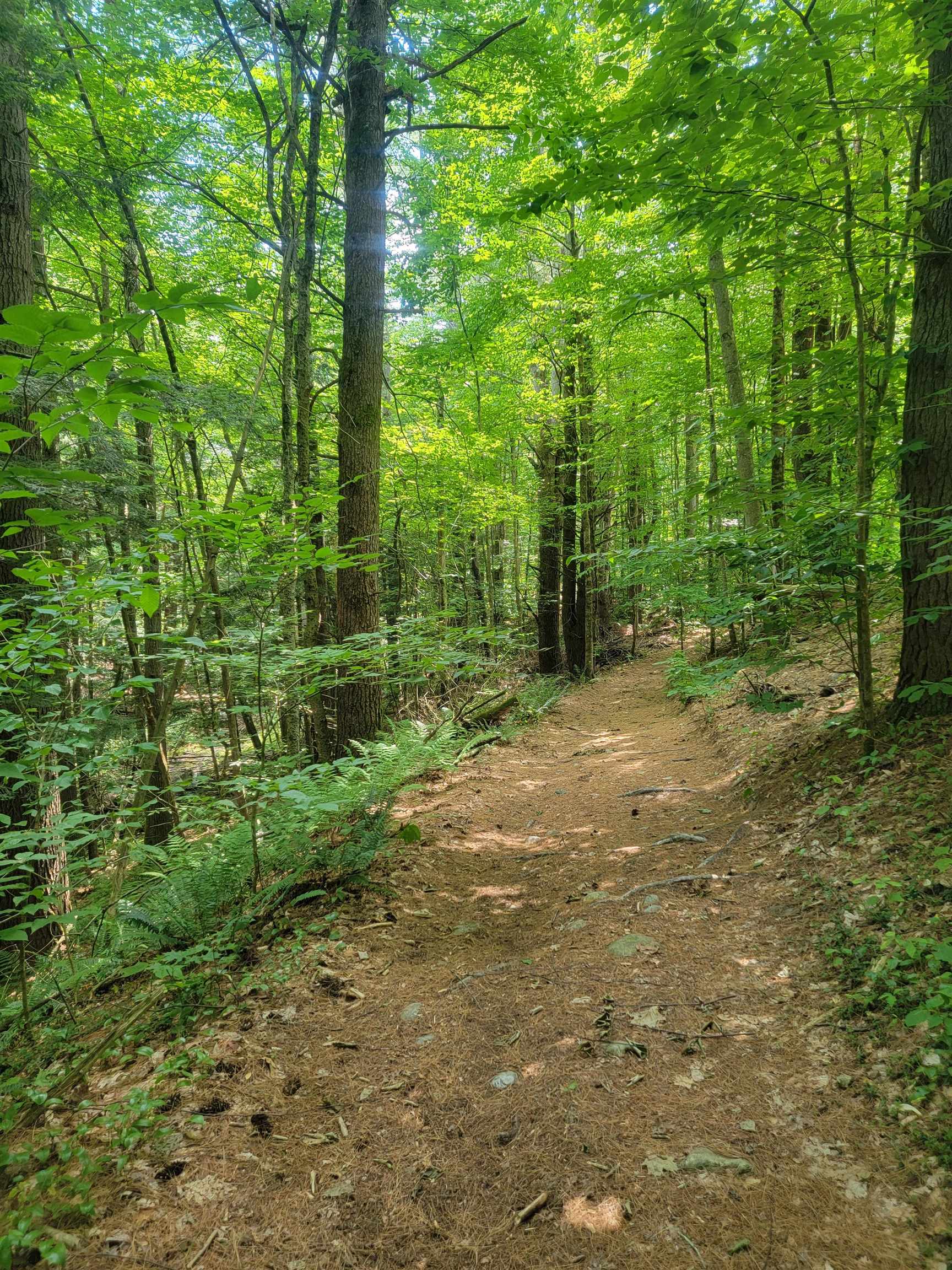 18 Hidden Valley Road Shaftsbury, VT 05262 - Photo 7 of 15