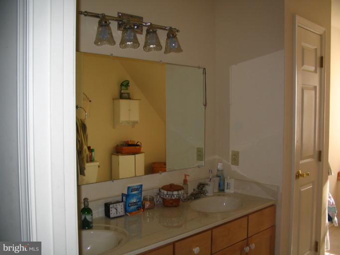 4441 Locust Grove Road Rohrersville, MD 21779 - Photo 7 of 23 a bathroom with a sink and a mirror