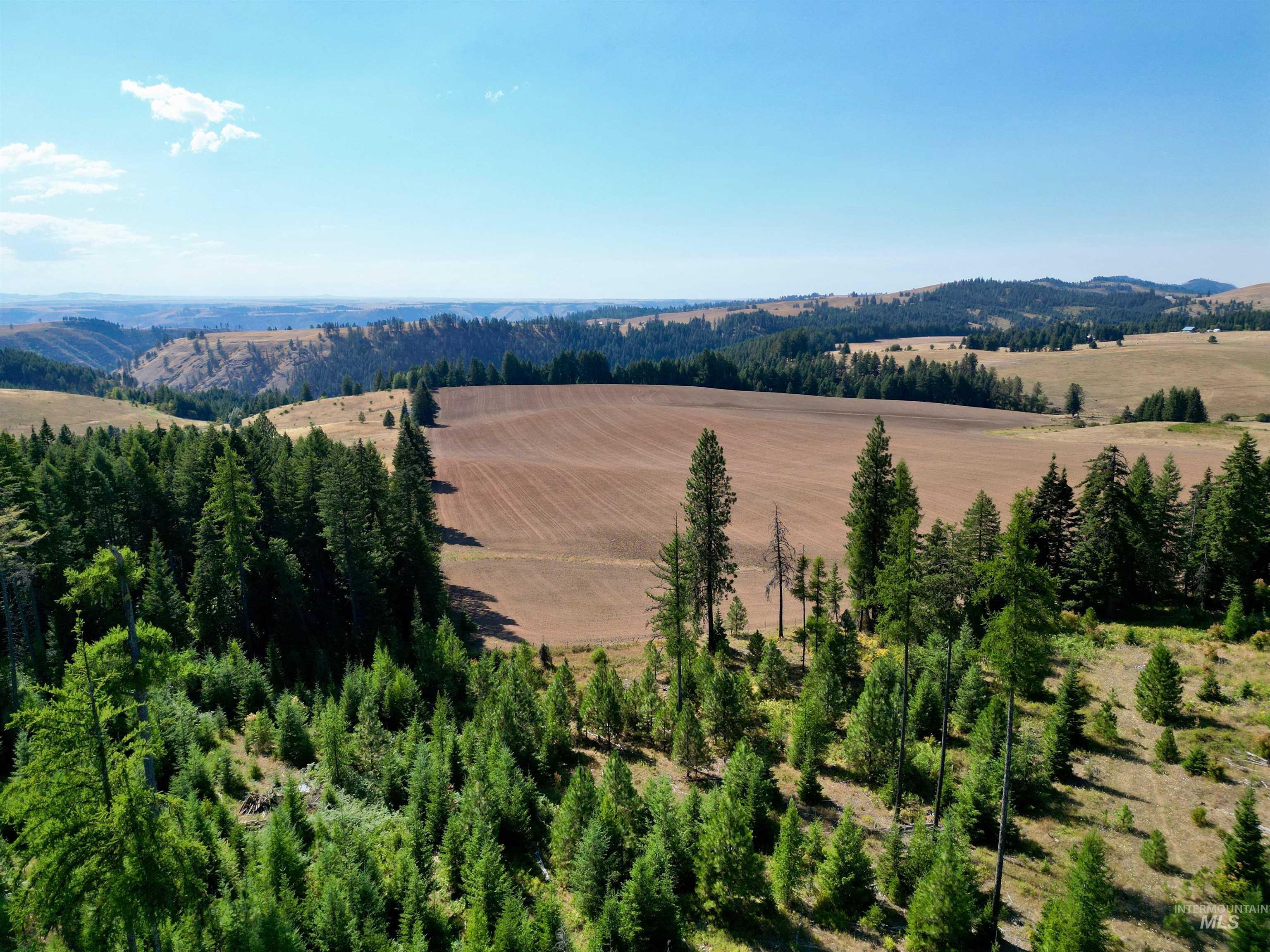 1 Peaceful Valley Road Kamiah, ID 83536 - Photo 2 of 10 Overview of rural landscape