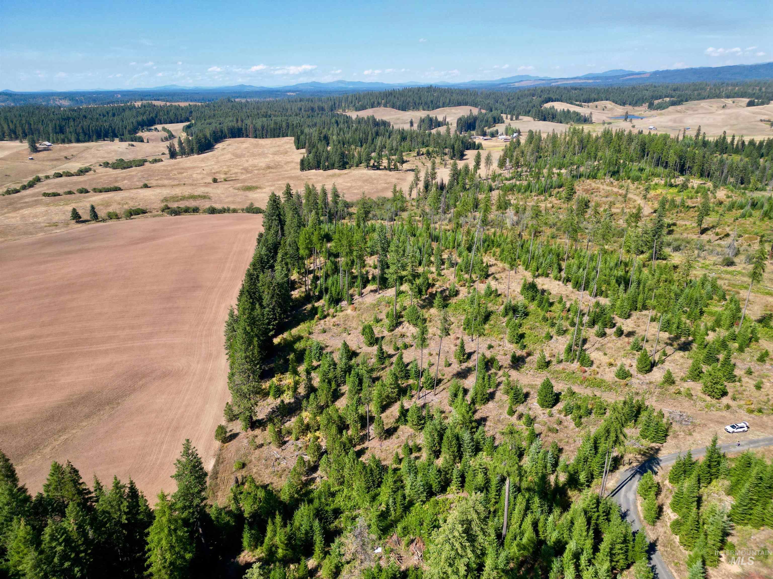1 Peaceful Valley Road Kamiah, ID 83536 - Photo 3 of 10 Bird's eye view of a forest and mountains