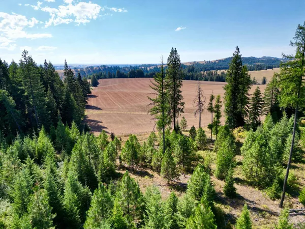 $149,000 | 1 Peaceful Valley Road, Kamiah, ID 83536