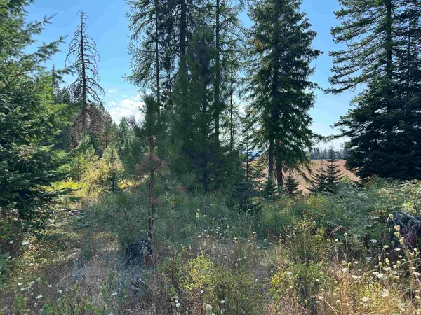 $149,000 | 1 Peaceful Valley Road, Kamiah, ID 83536