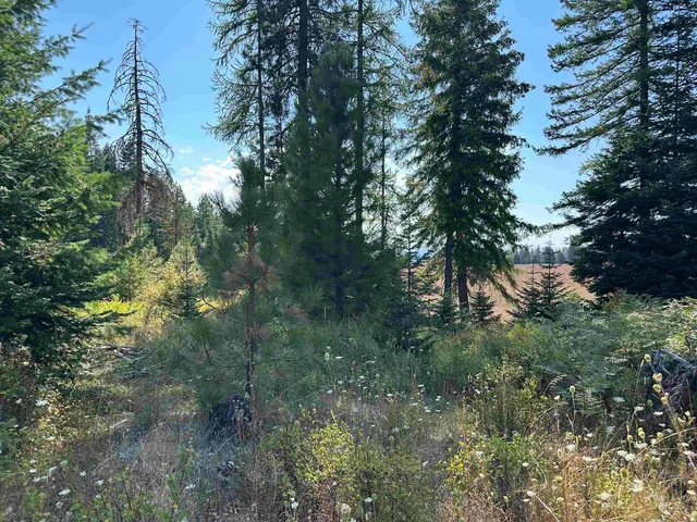 $149,000 | 1 Peaceful Valley Road, Kamiah, ID 83536