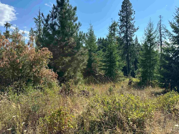 $149,000 | 1 Peaceful Valley Road, Kamiah, ID 83536