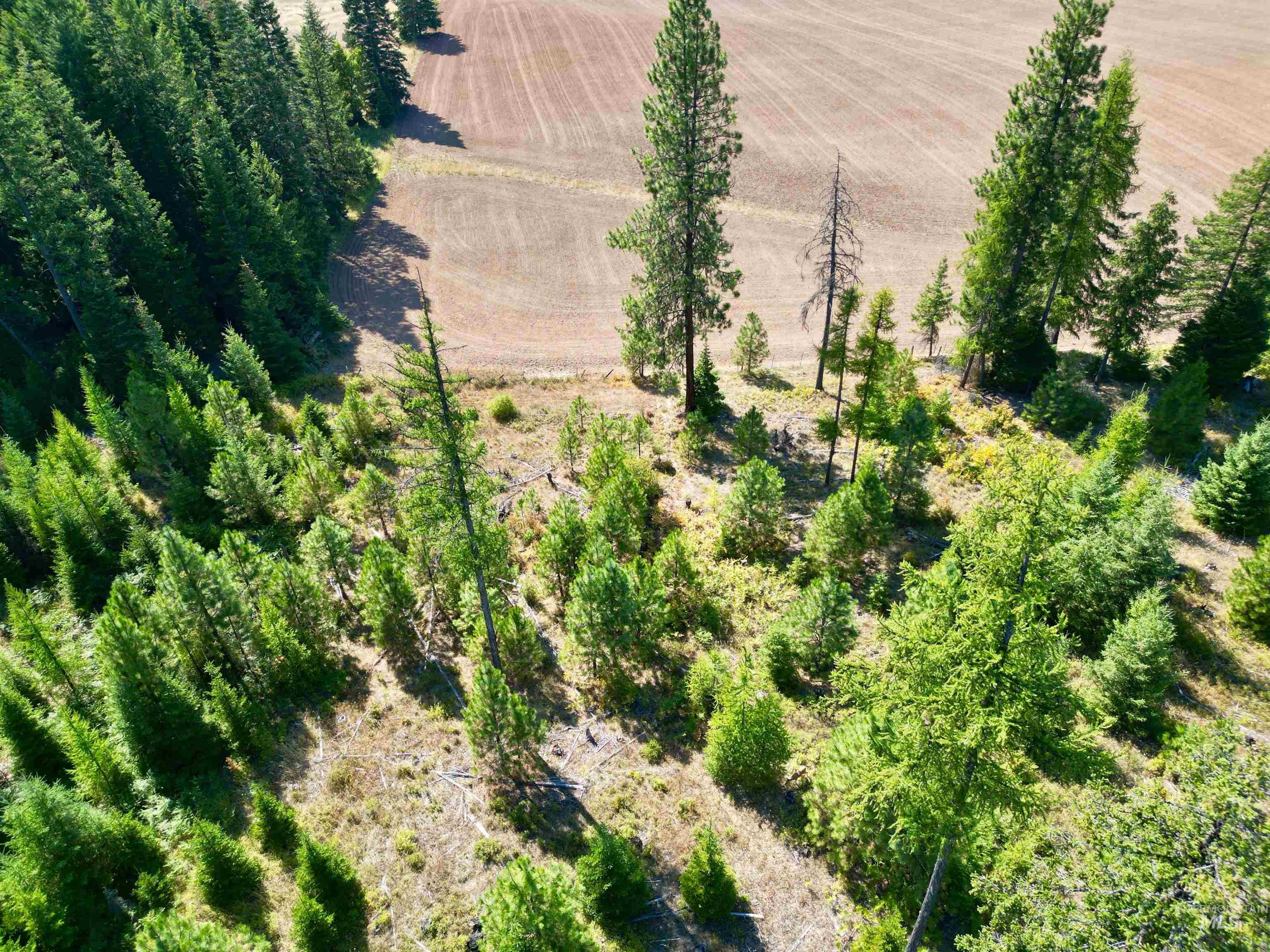 1 Peaceful Valley Road Kamiah, ID 83536 - Photo 10 of 10 Overview of rural landscape