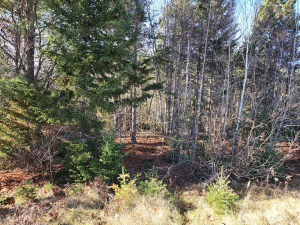$49,900 | 41 Sandy Ridge Lane, Searsport, ME 04974