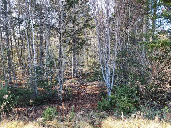 $49,900 | 41 Sandy Ridge Lane, Searsport, ME 04974