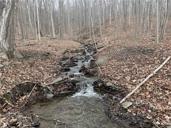 $219,900 | 1592 Emerson Road, Potter, NY 14507