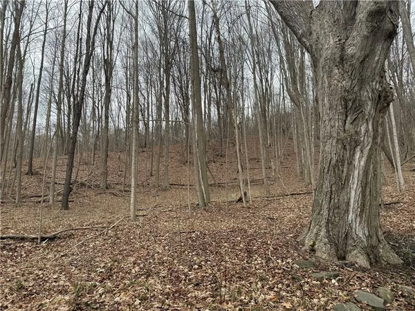 $219,900 | 1592 Emerson Road, Potter, NY 14507