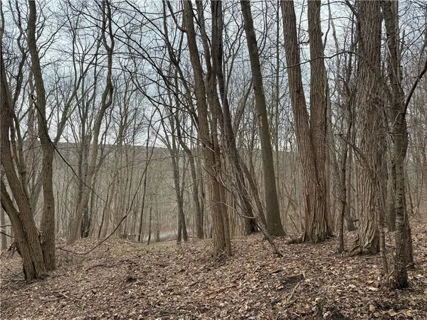 $219,900 | 1592 Emerson Road, Potter, NY 14507