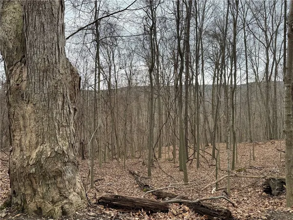 $219,900 | 1592 Emerson Road, Potter, NY 14507