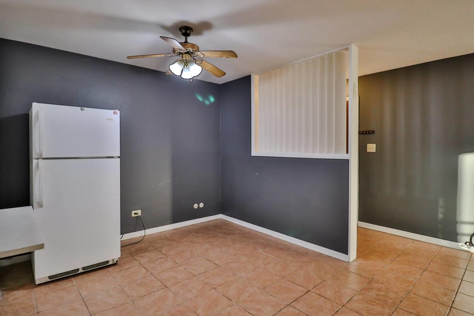 1085 Valley Lane, Unit 216 Hoffman Estates, IL 60169 - Photo 3 of 18