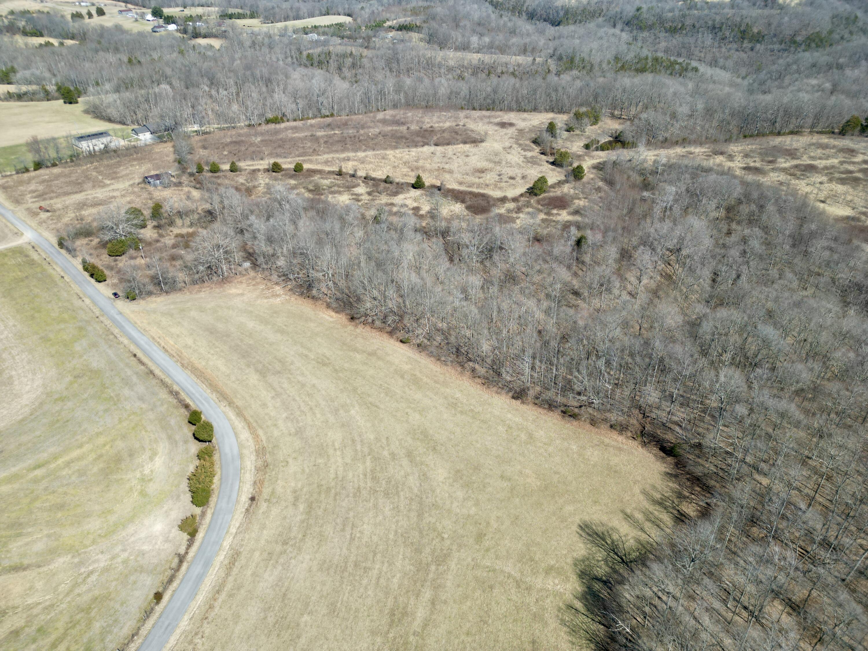 Lot 1 Parks Ridge Road Russell Springs, KY 42642 - Photo 6 of 20 dji_fly_20250303_111026_192_174102748750