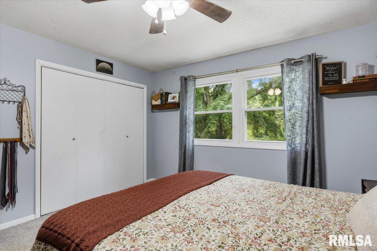 11 Rock Road Chatham, IL 62629 - Photo 24 of 40