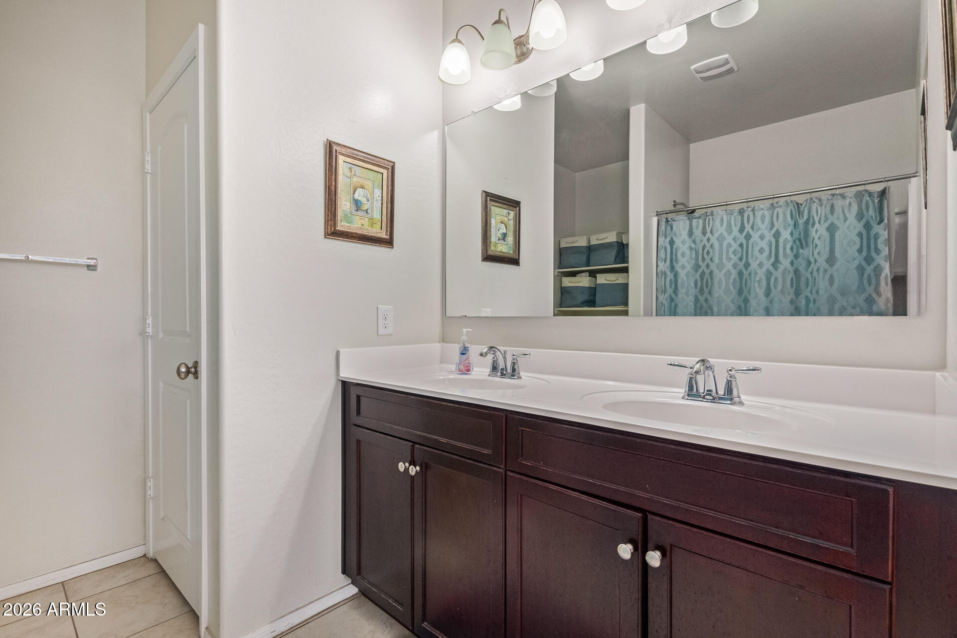 3847 North 308th Lane Buckeye, AZ 85396 - Photo 19 of 32 a bathroom with a sink a light fixture and a mirror