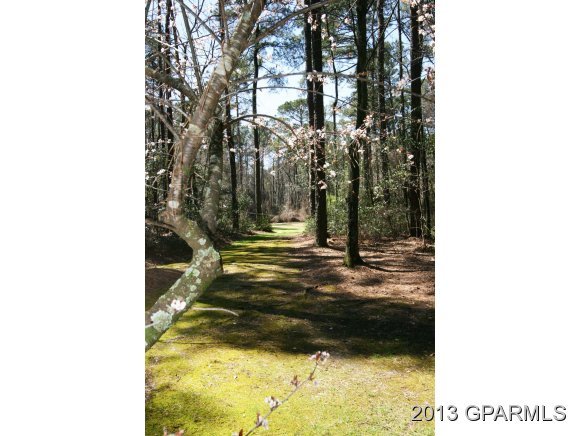 1555 Forlines Road Winterville, NC 28590 - Photo 17 of 20 Additional Photo
